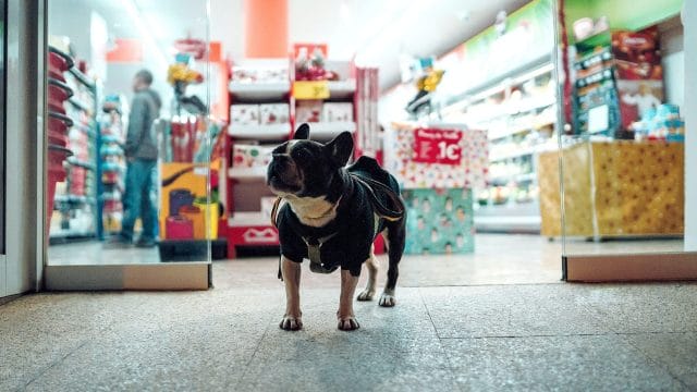 Frictionless - GEA Pet Shop