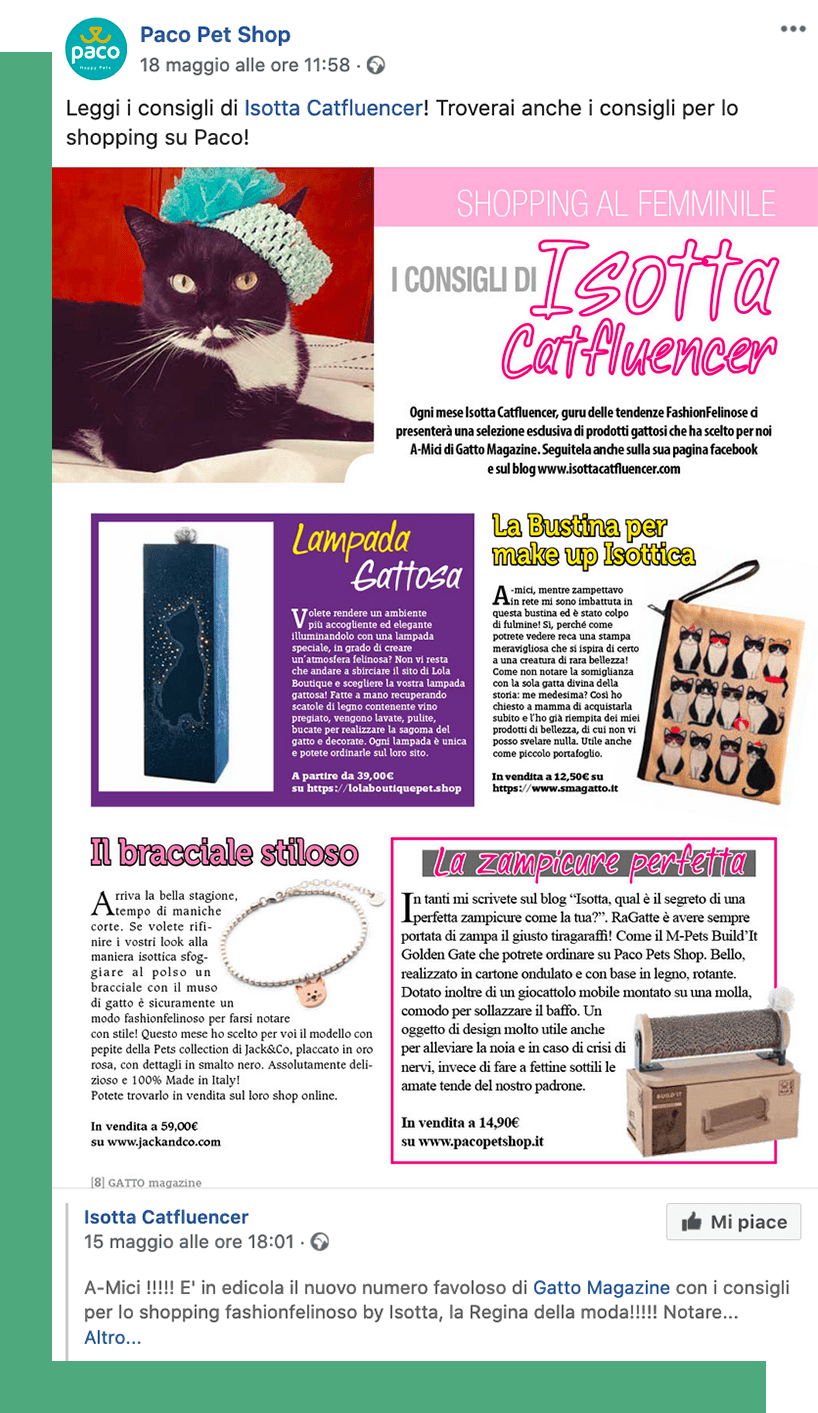 Influencer marketing