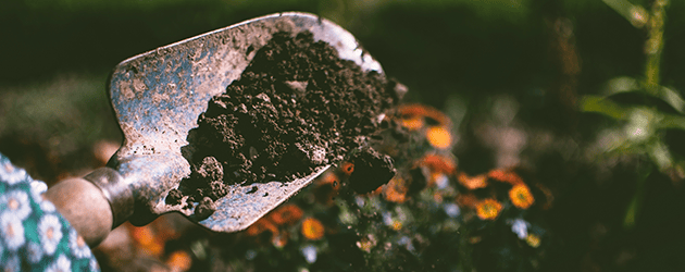 Emballages compostables