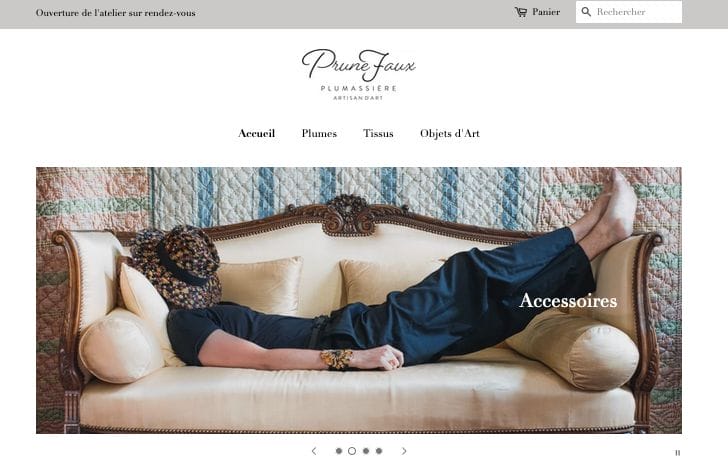 Site web Prune Faux